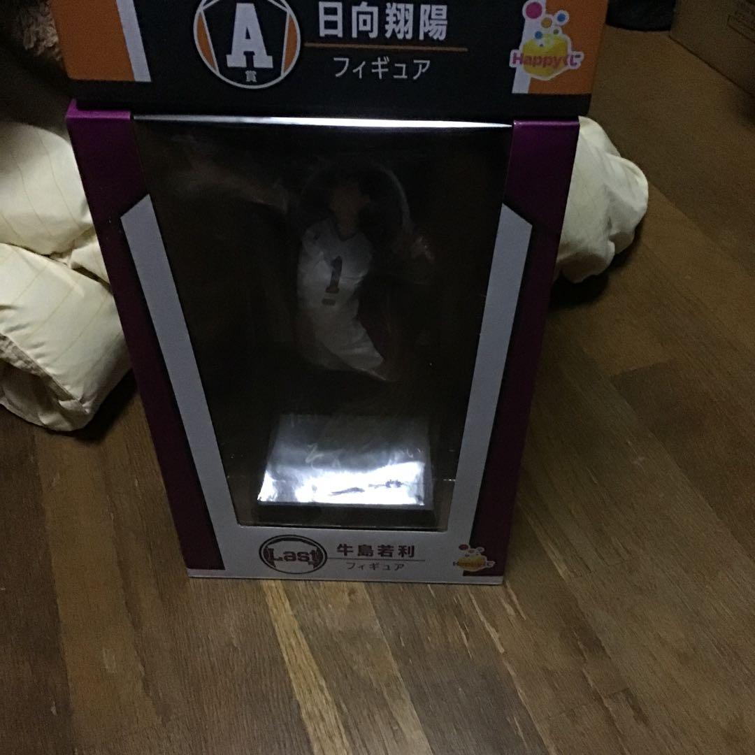 ハイキュー!! 日向翔陽 牛島　2体