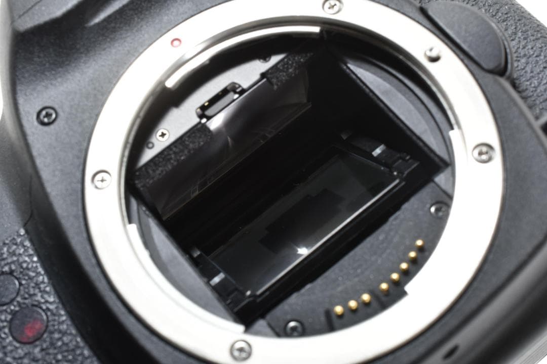 キャノン　CanonEOS 5D Mark II ボディ 1554