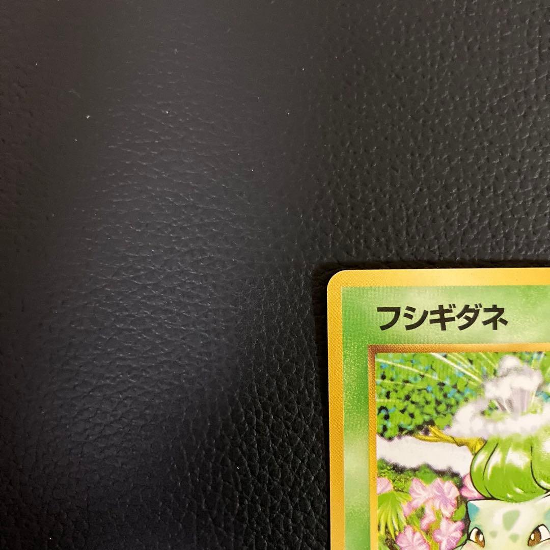 フシギダネ　旧裏　初版　マークなし　ポケモンカード