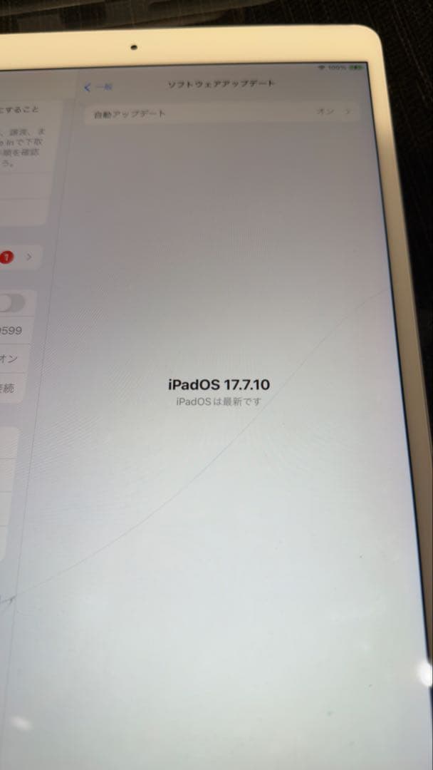 iPad Pro 10.5インチ256MB 付属品全てあり　画面割れあり