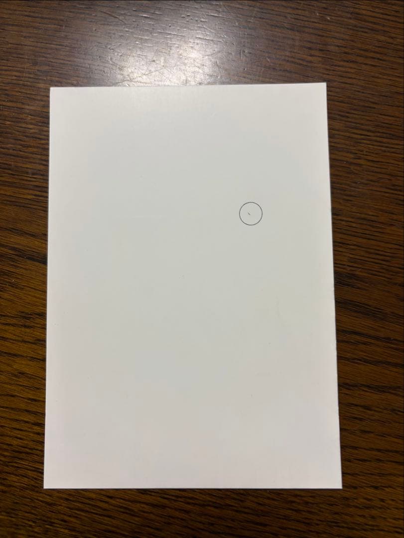 文豪ストレイドッグス リーフレット　アニメイト連動購入特典　三洋堂書店