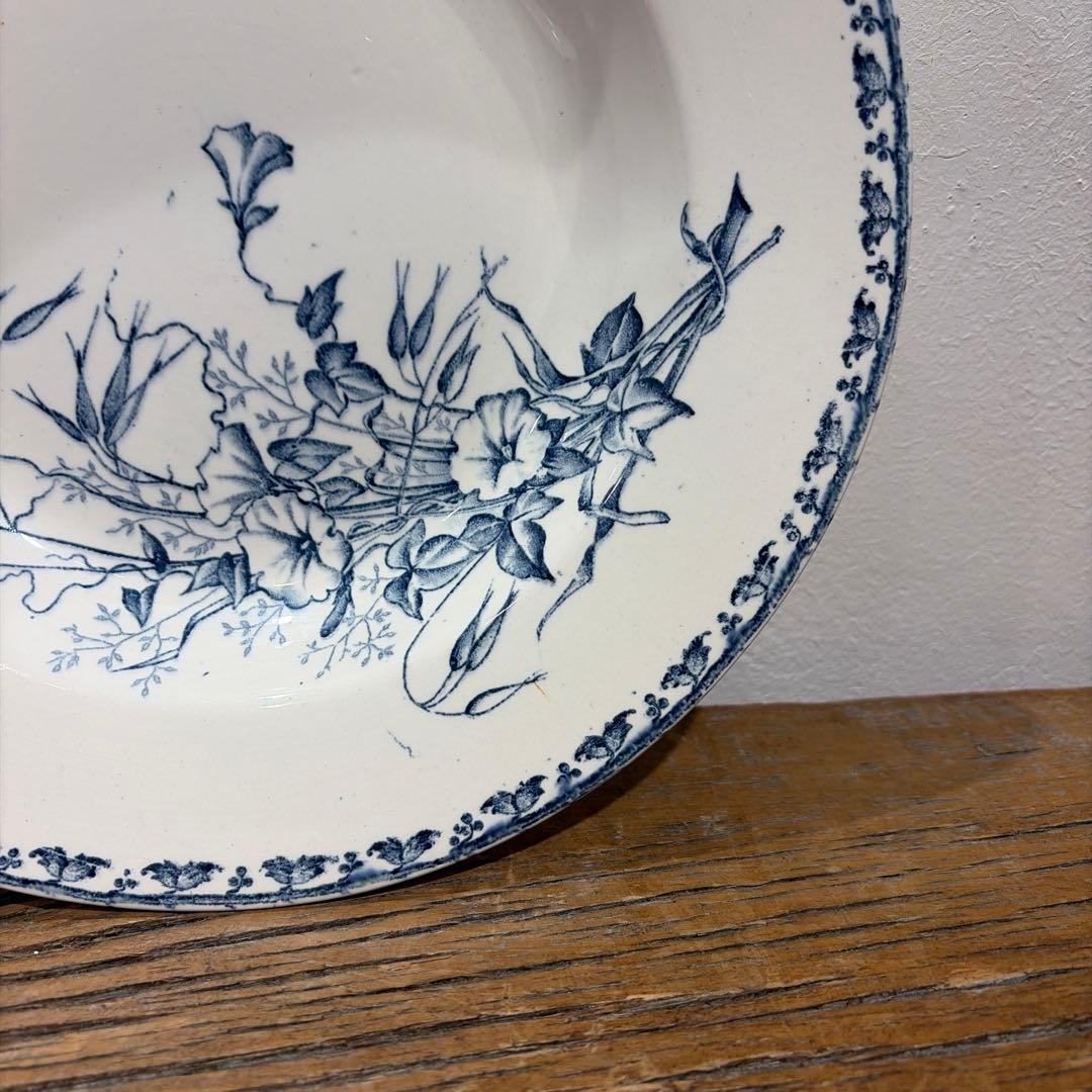 Sarreguemines【CARMEN】スープ23cmサルグミンヌプレート