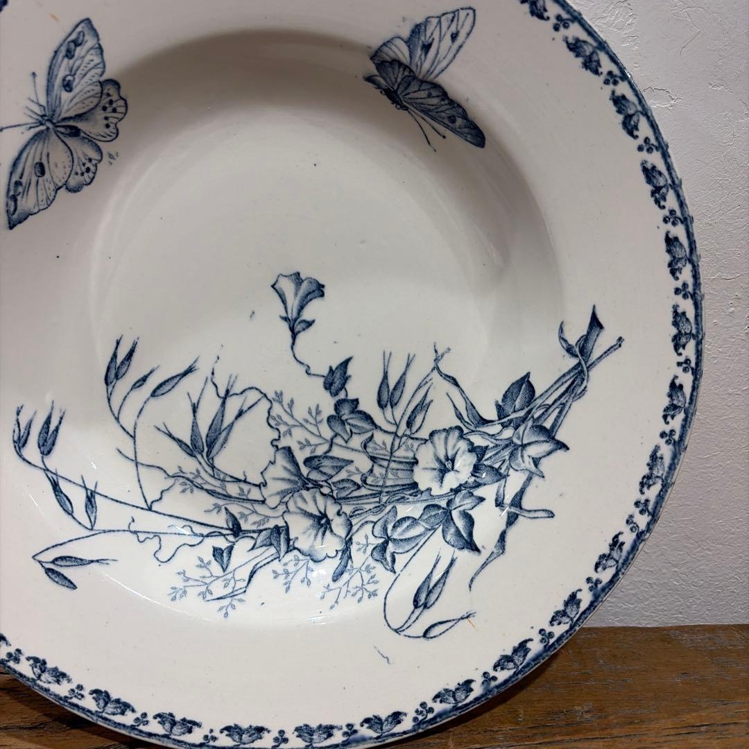 Sarreguemines【CARMEN】スープ23cmサルグミンヌプレート