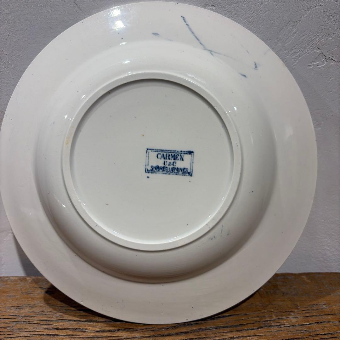 Sarreguemines【CARMEN】スープ23cmサルグミンヌプレート