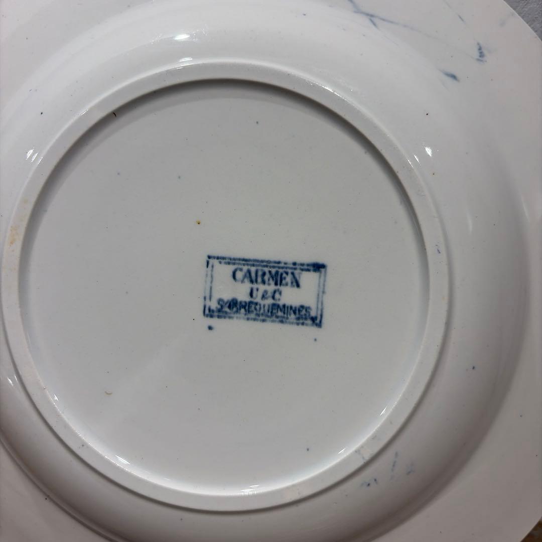 Sarreguemines【CARMEN】スープ23cmサルグミンヌプレート