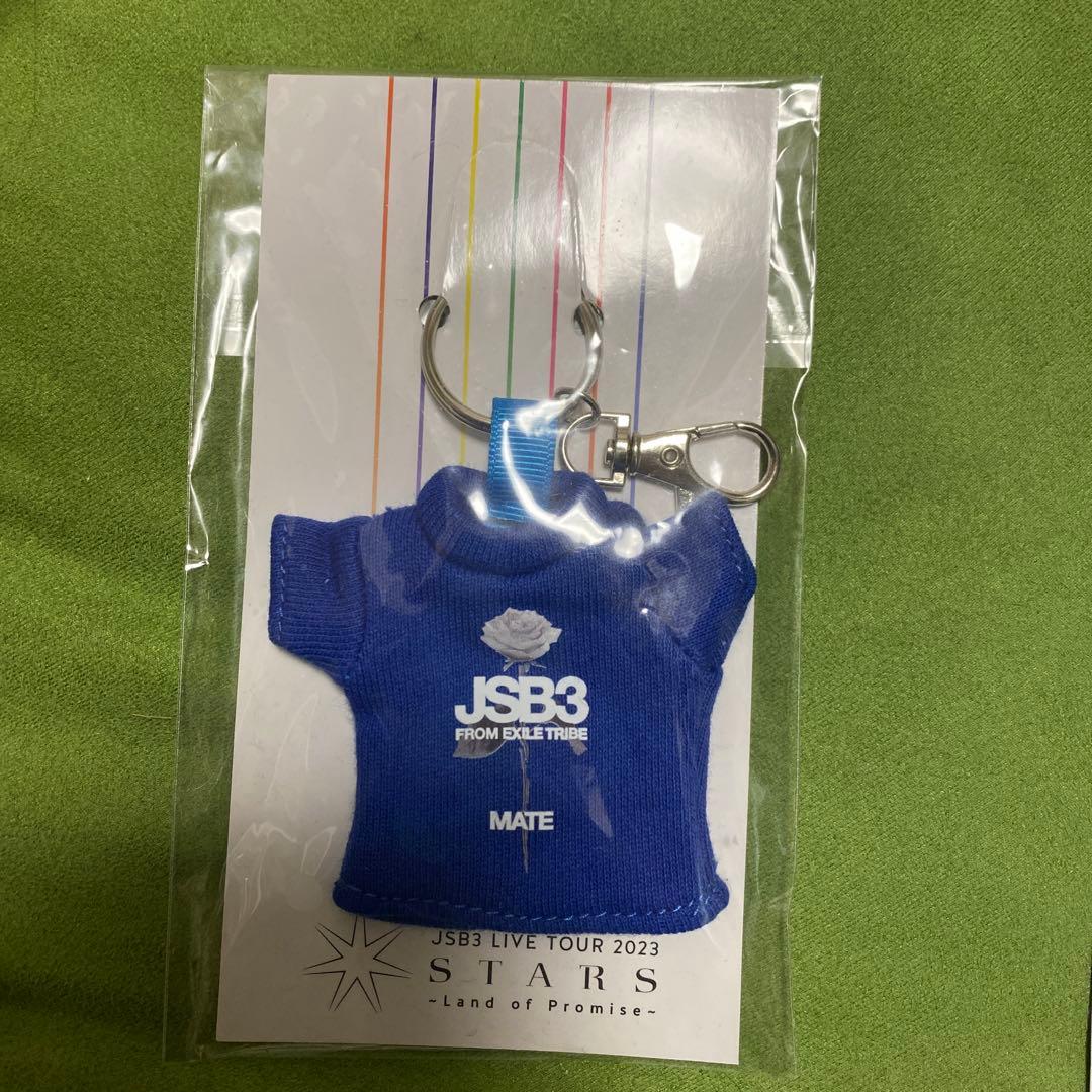 三代目JSB 登坂広臣 臣 ØMI アクスタ ミニのぼり フォトカ キーホルダー