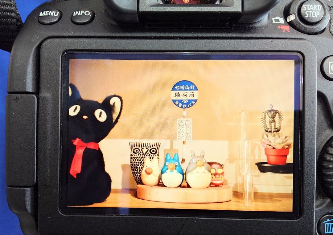 Canon EOS 80D デジタル一眼レフセット