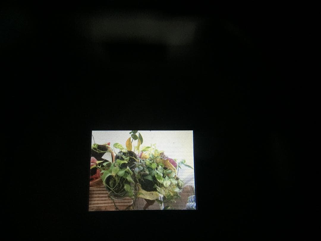 名器 レア　撮影画像あり　Canon　PowerShot Pro1　付属品あり