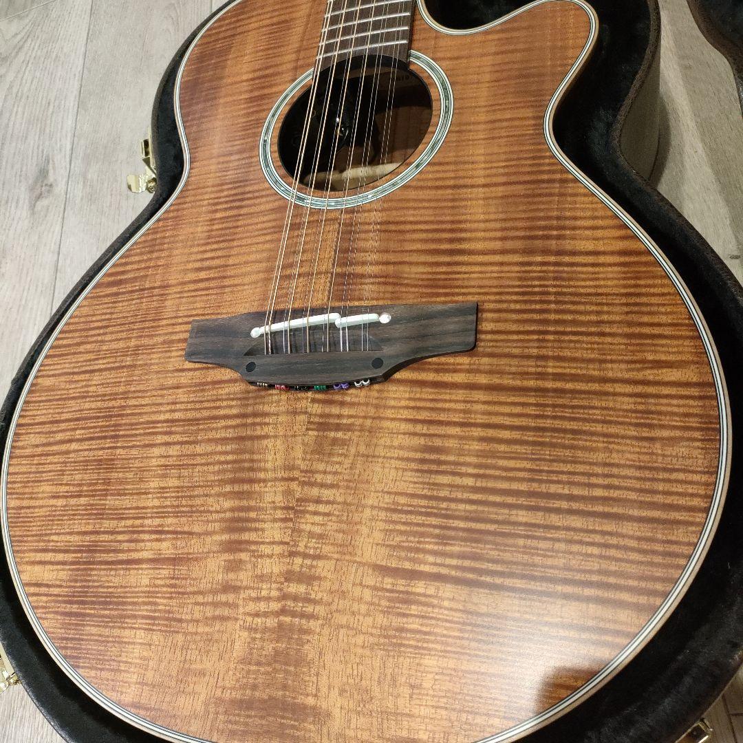 Takamine 100custom 12弦ギター オーダー品　ハードケース付き