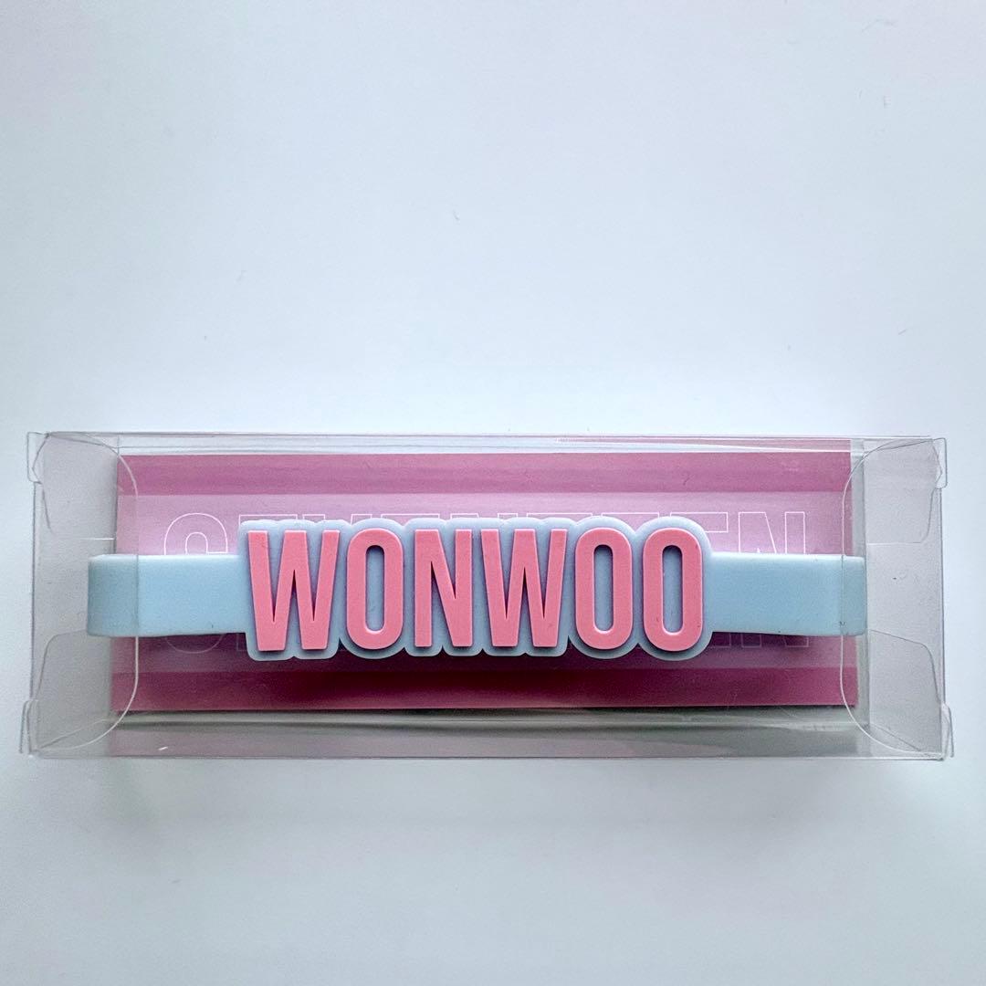 seventeen ペンライトアクセサリー ラバーバンド　ウォヌ