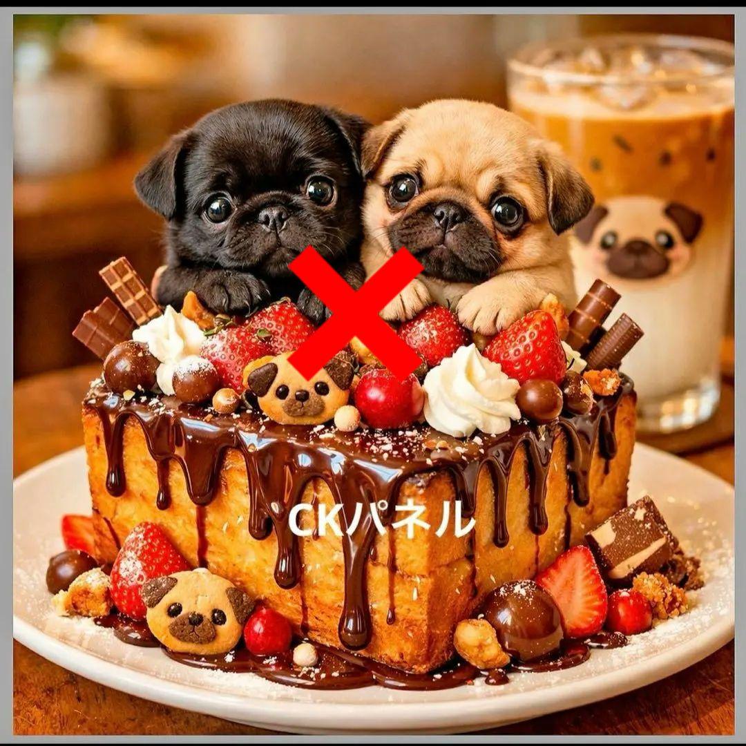 激レア柴犬、パグ、ポメラニアン、シーズ、トイプー、チワワパネル生地　ハンドメイド