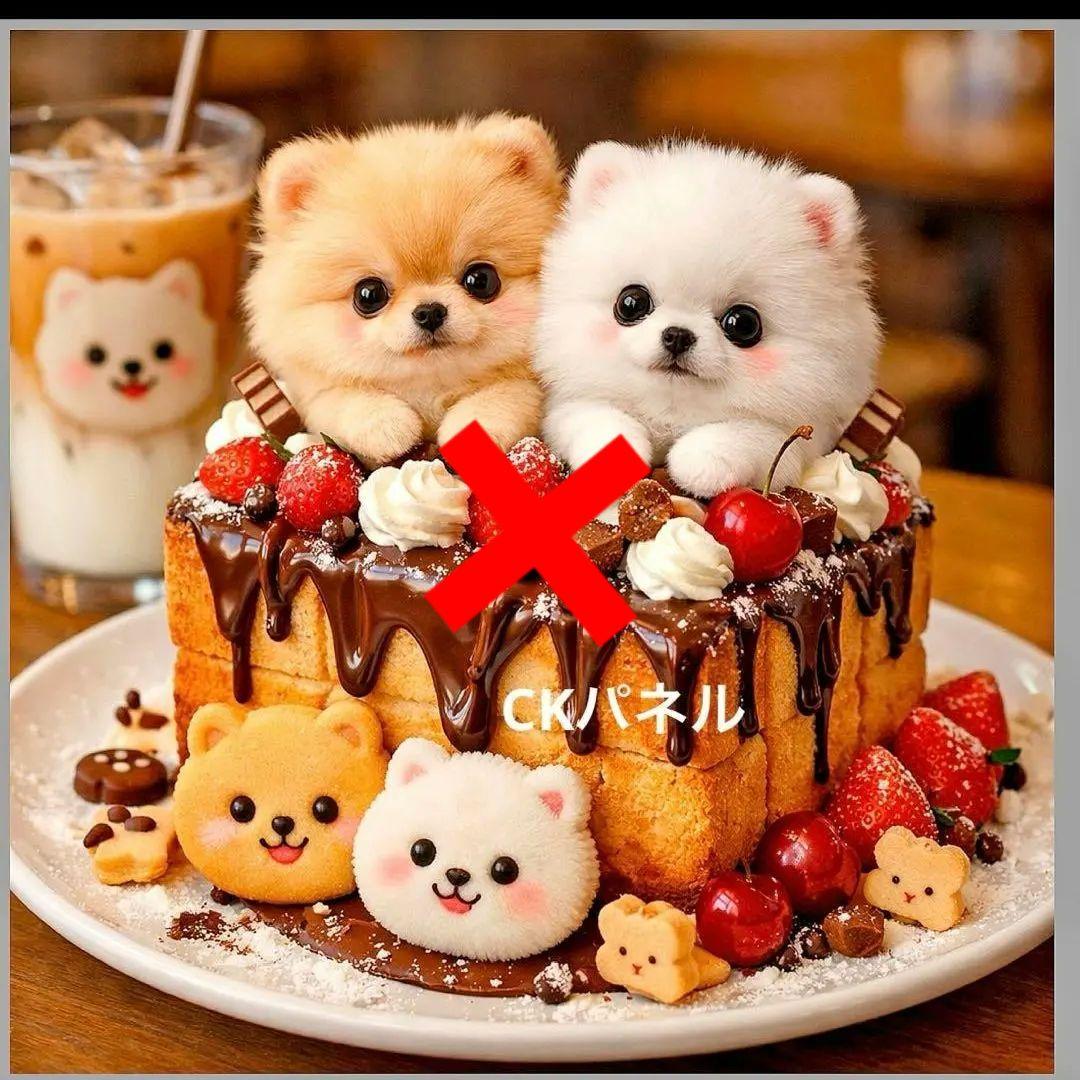 激レア柴犬、パグ、ポメラニアン、シーズ、トイプー、チワワパネル生地　ハンドメイド