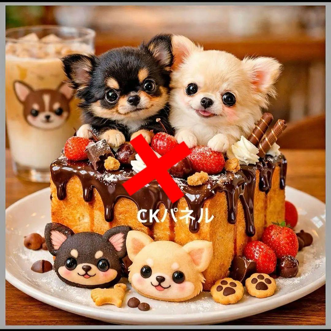 激レア柴犬、パグ、ポメラニアン、シーズ、トイプー、チワワパネル生地　ハンドメイド