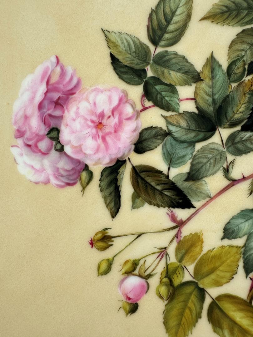 ヘレンド 牡丹の花 陶板画 マスターペインター作品