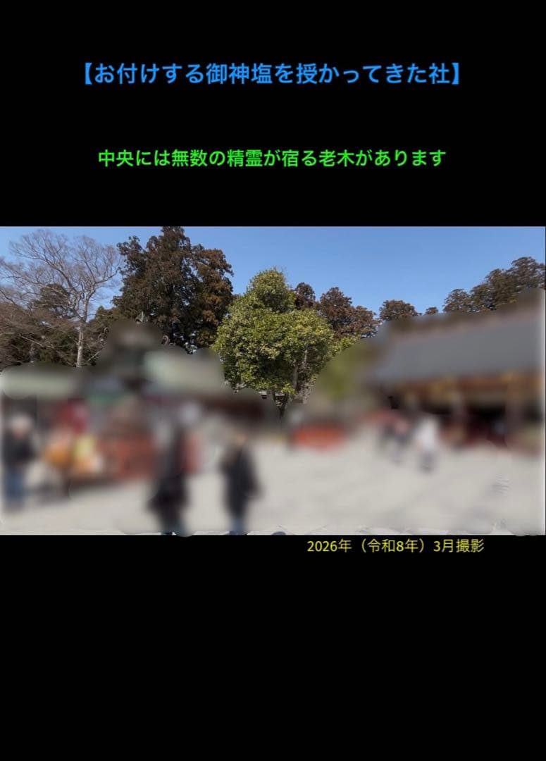 ★★★ 霊石 ★★★　　七眼天珠　ブレスレット / 腕念珠