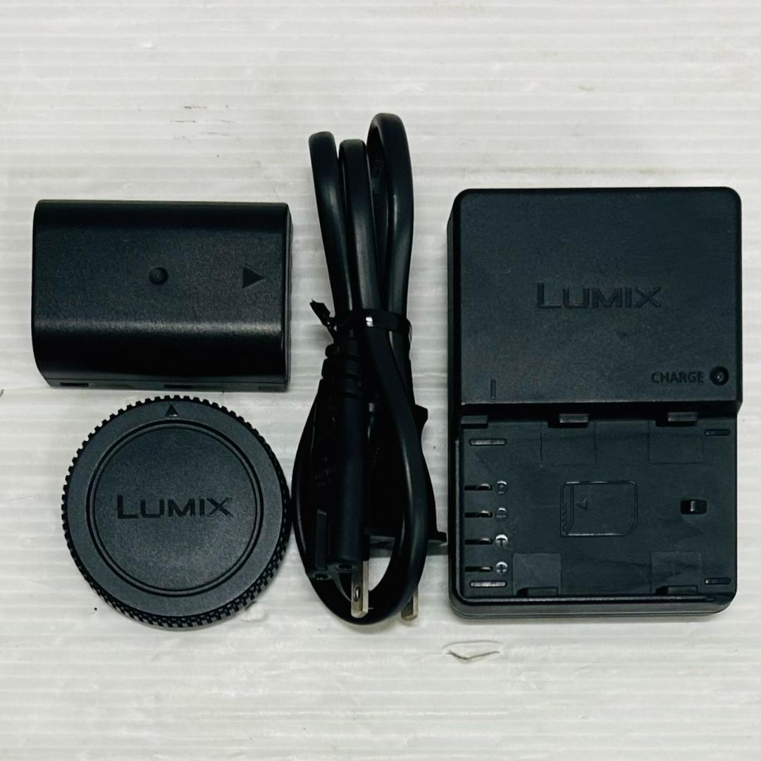 ★ジャンク★Panasonic GH3 送料無料　75