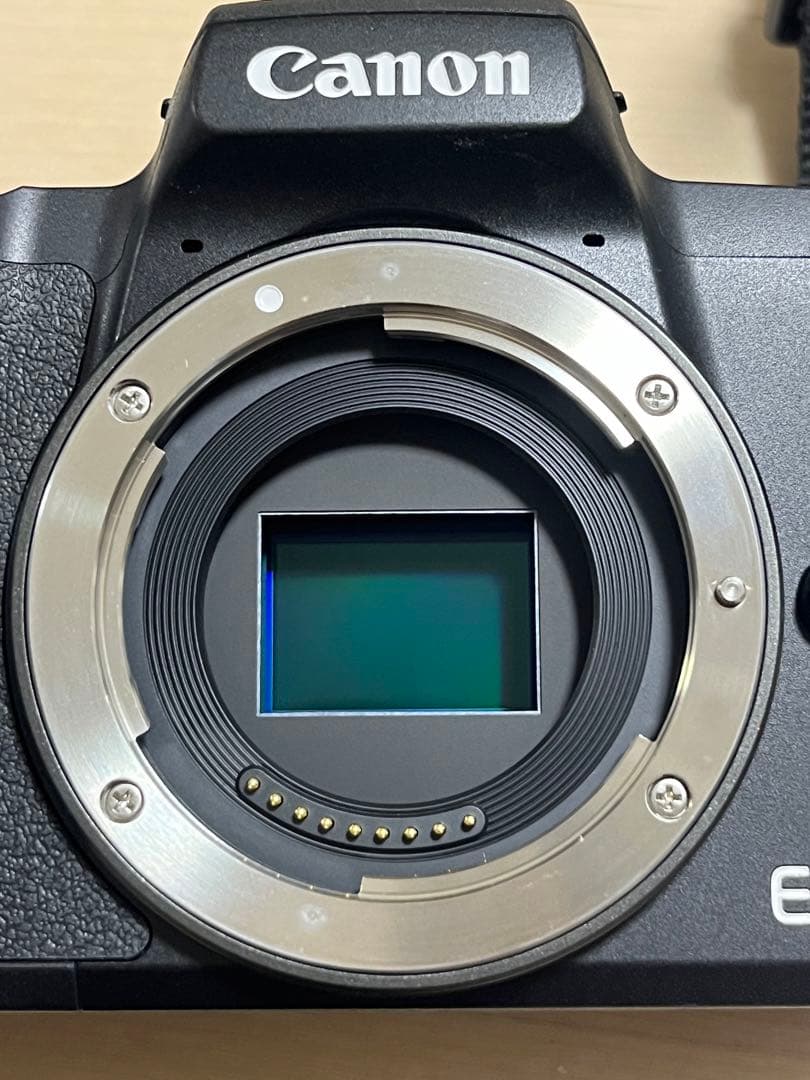 Canon eos M50 Canon EF-M 15-45mm 動作品