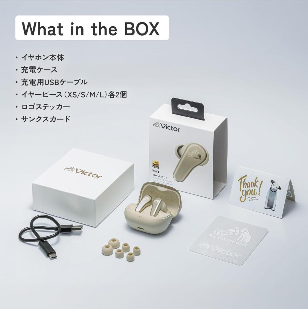 JVCケンウッド Victor HA-A110T-B チャコールブラック