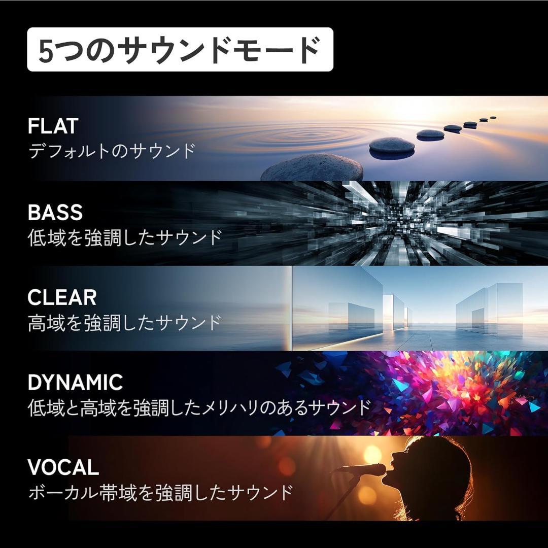 JVCケンウッド Victor HA-A110T-B チャコールブラック