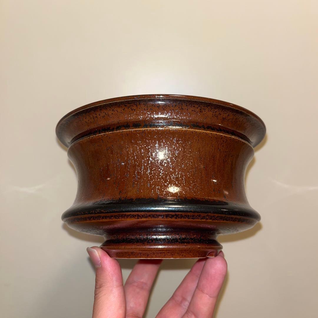 XL SIZE 盆栽 作家鉢 陶器 真柏 糸魚川真柏 皐月 五葉松 黒松 長寿梅