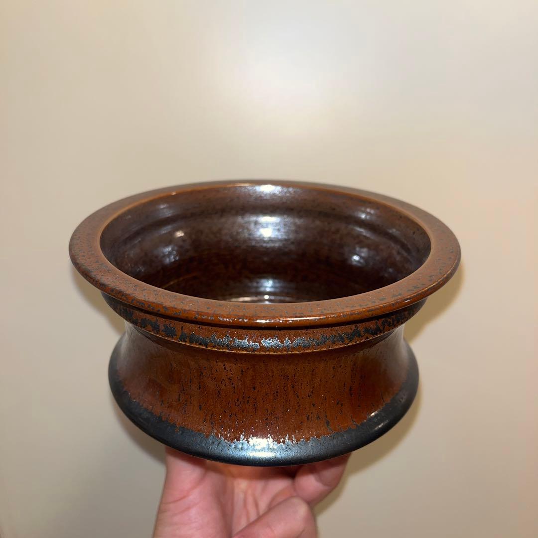 XL SIZE 盆栽 作家鉢 陶器 真柏 糸魚川真柏 皐月 五葉松 黒松 長寿梅