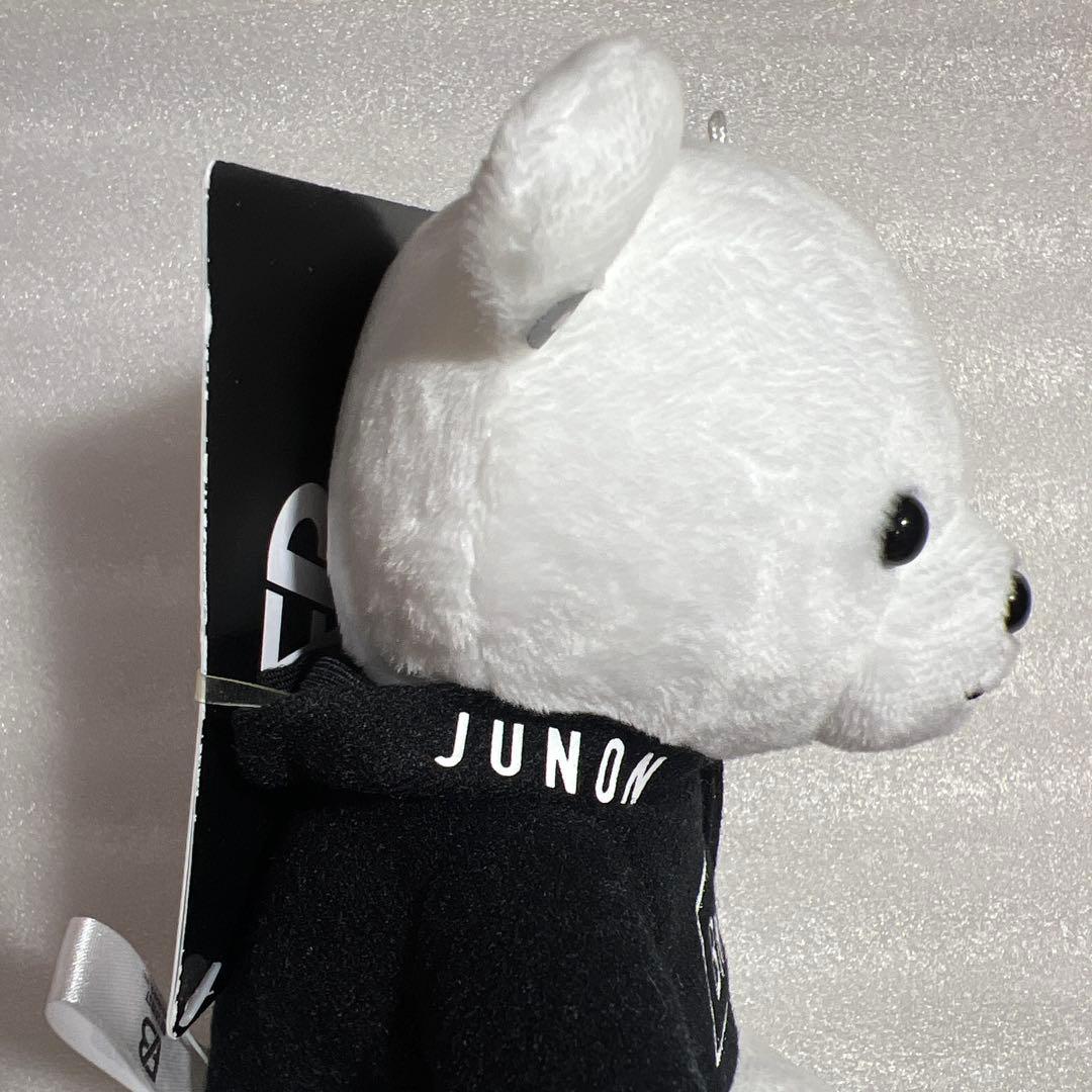 BE:FIRST JUNON くまぬいぐるみ　マスコット　ジュノン　BMSG