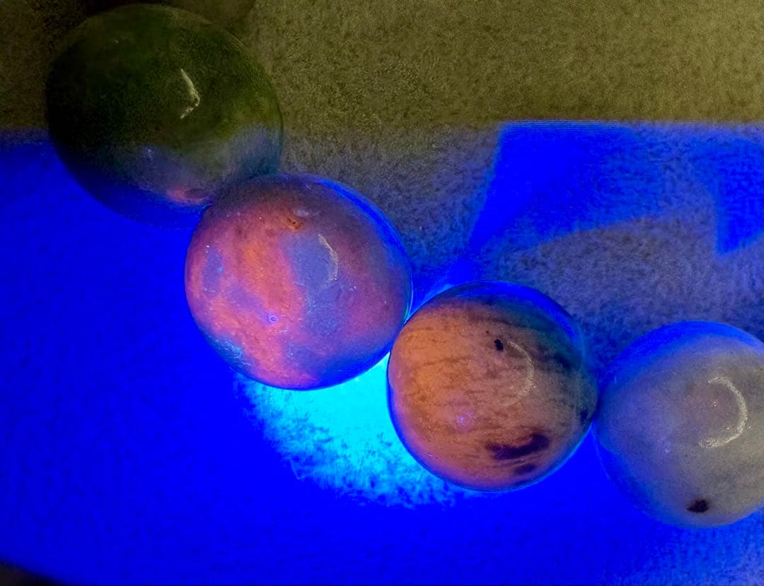 蛍光反応が美しい【ハックマナイト】　15mm 変化を楽しむ石