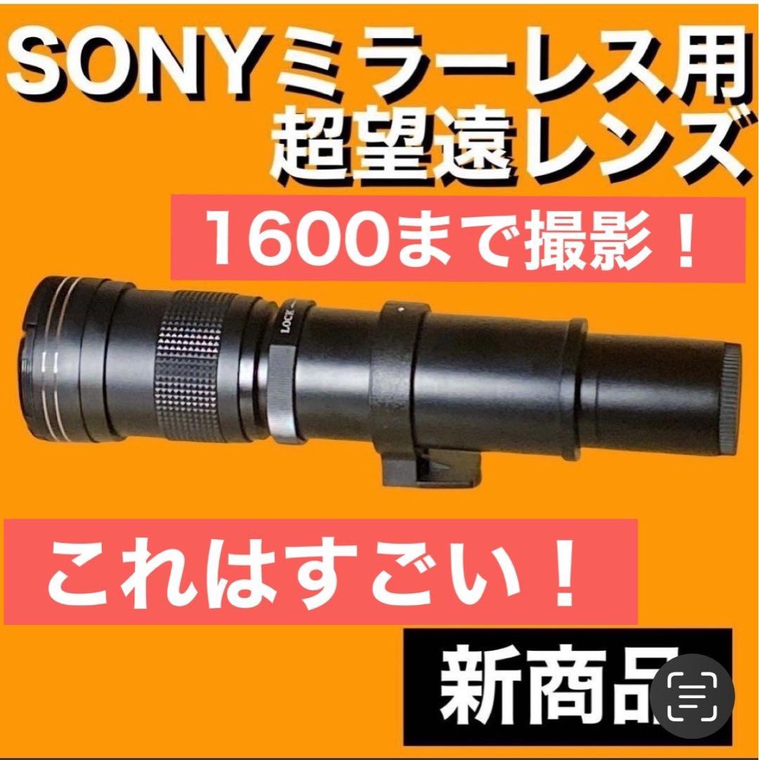 1600まで撮影！SONYカメラをお持ちの方におすすめ！便利なズームレンズ！綺麗
