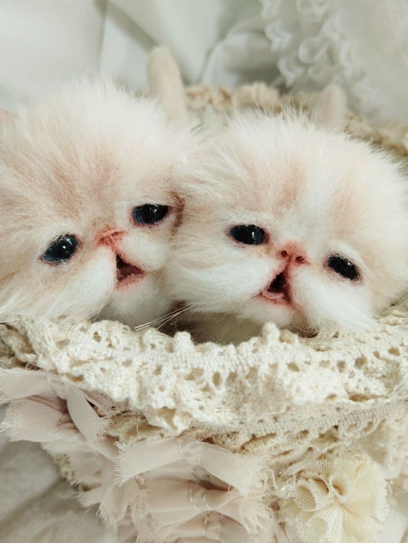 生後２週間♡双子子猫ちゃん♡お世話セット♡アートドール♡ぬいぐるみ♡