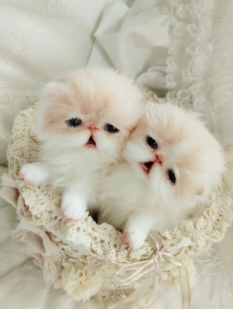 生後２週間♡双子子猫ちゃん♡お世話セット♡アートドール♡ぬいぐるみ♡