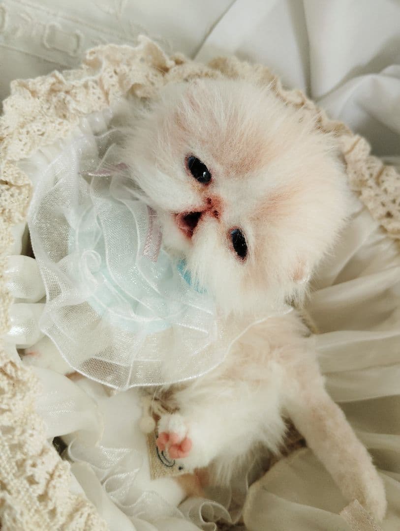 生後２週間♡双子子猫ちゃん♡お世話セット♡アートドール♡ぬいぐるみ♡