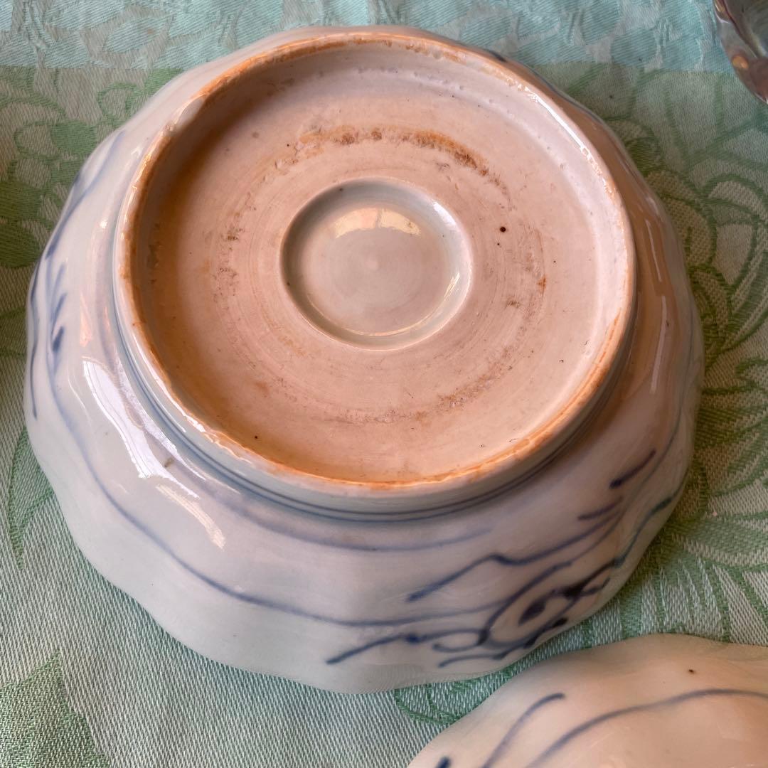 古伊万里　染付　魚　膾皿　5客