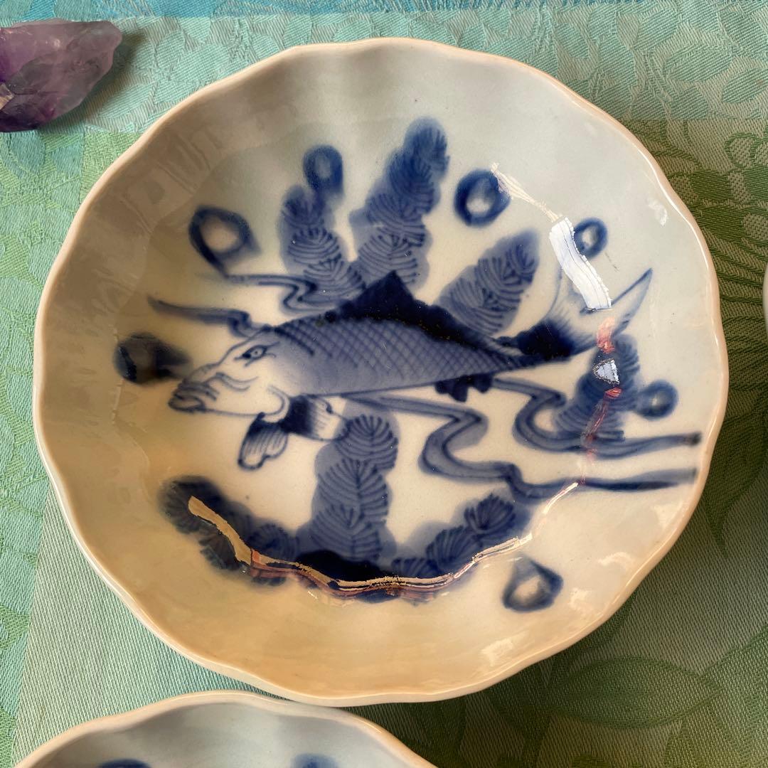 古伊万里　染付　魚　膾皿　5客
