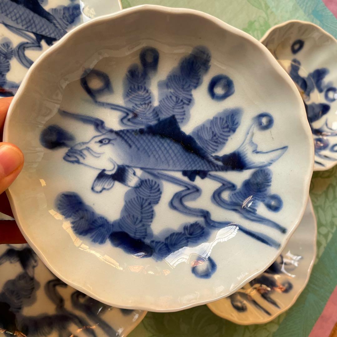 古伊万里　染付　魚　膾皿　5客