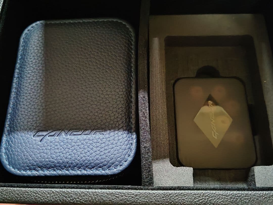 イヤホン Canpur CPBA1