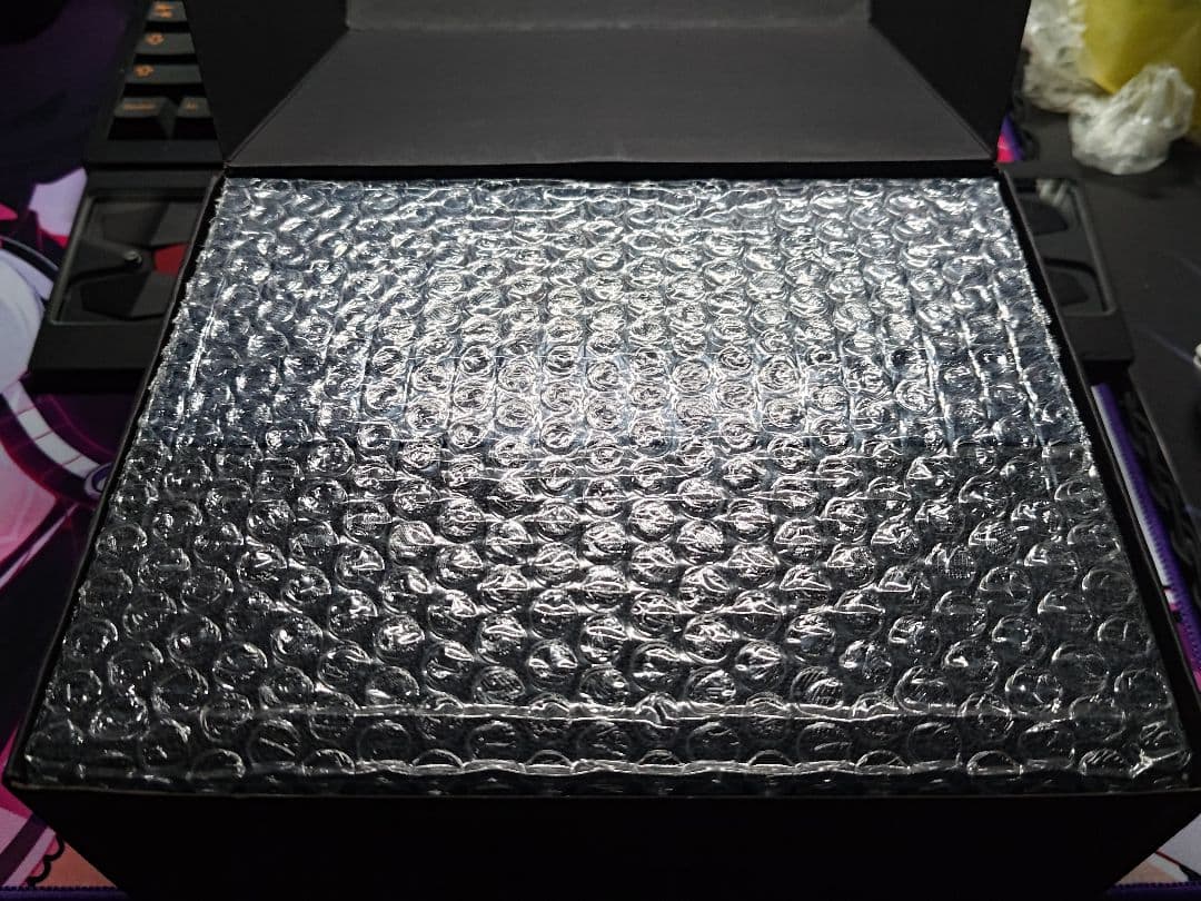 イヤホン Canpur CPBA1