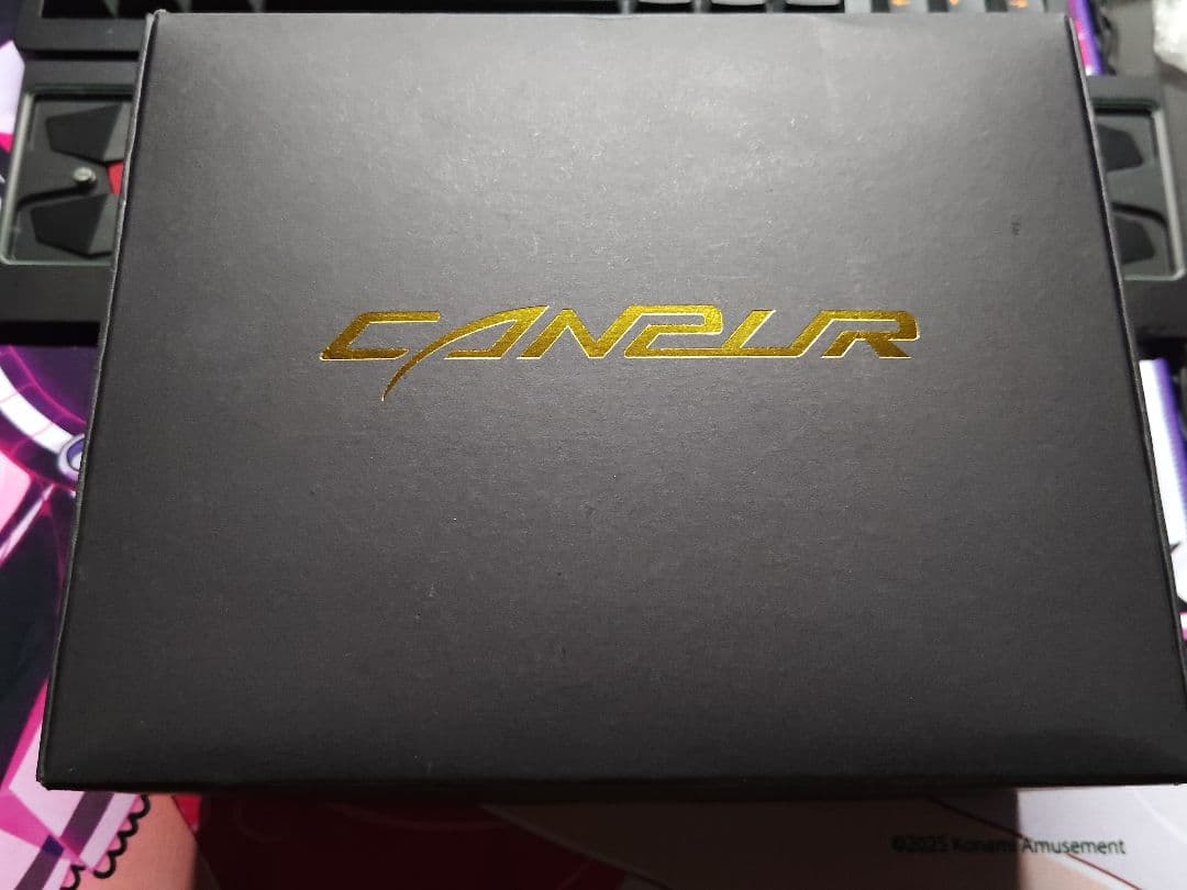 イヤホン Canpur CPBA1