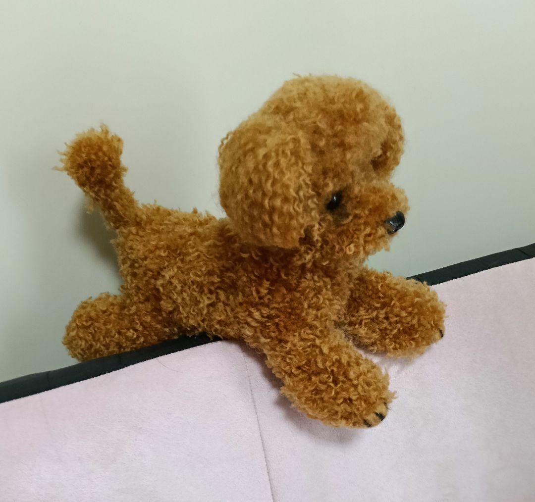 トイプードル　羊毛フェルト