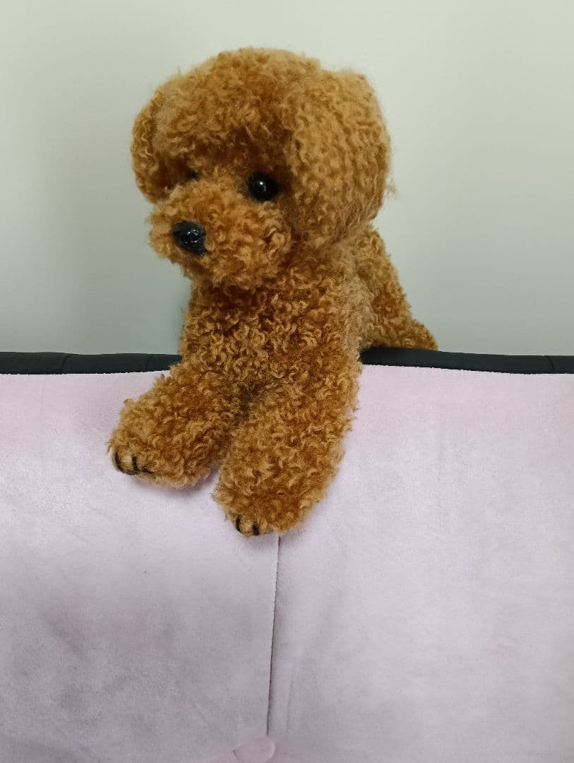 トイプードル　羊毛フェルト