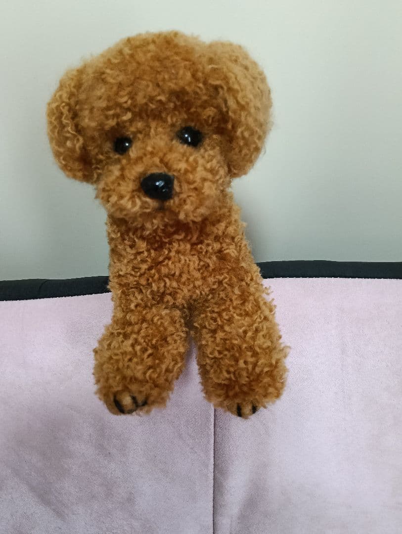 トイプードル　羊毛フェルト