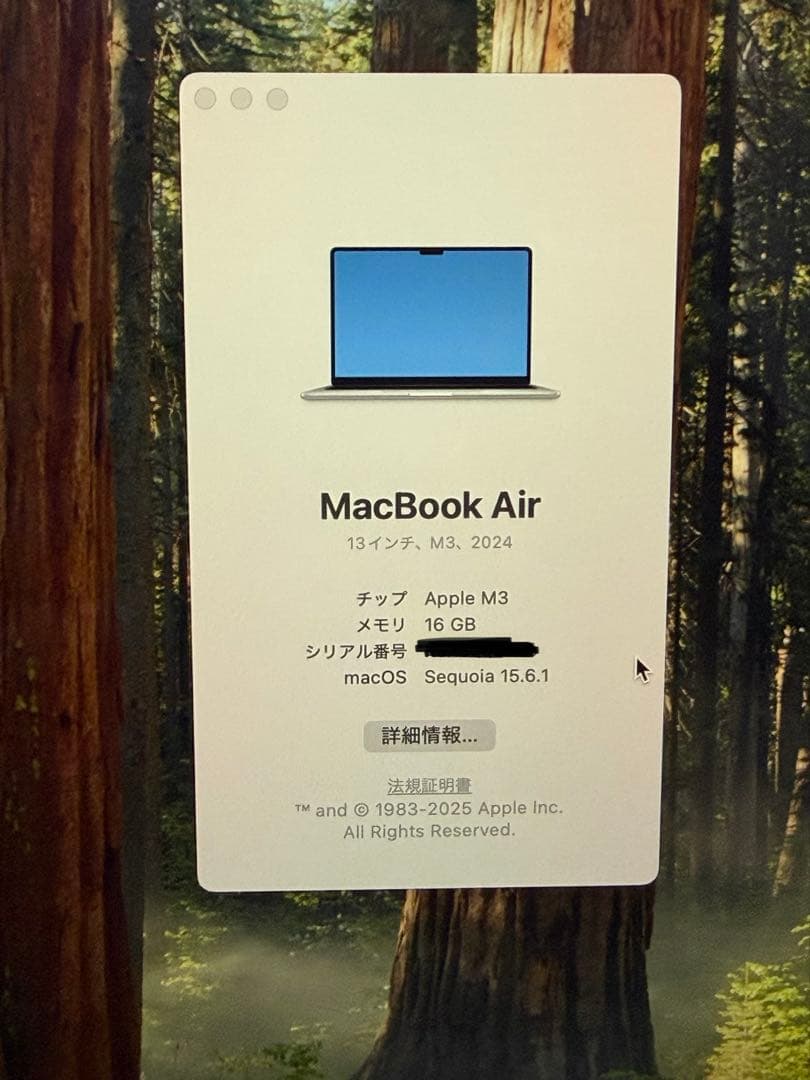 MacBook Air 13.6インチ M3 16GB JIS
