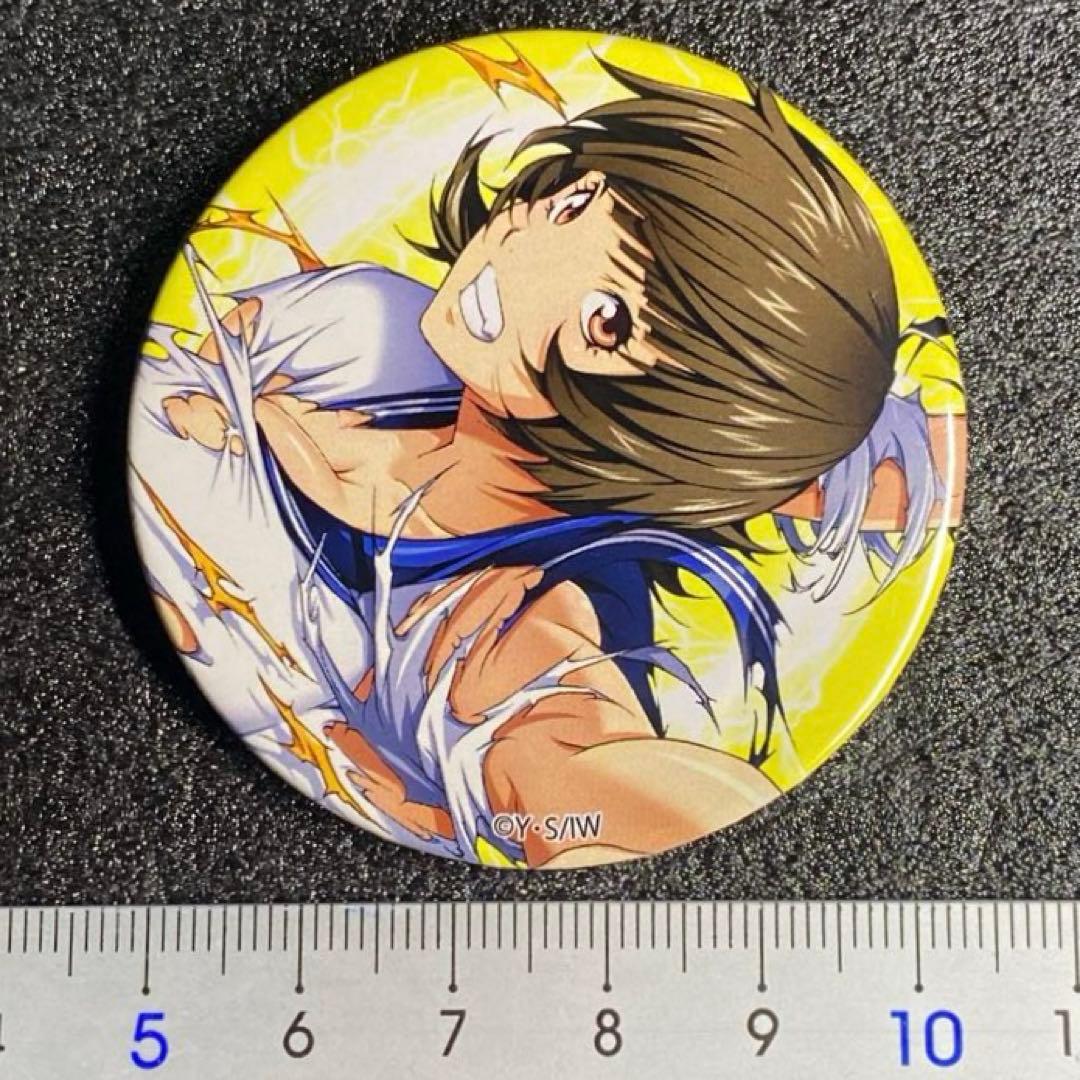 未使用 全種セット 記念品 P真・一騎当千 オリジナル缶バッジ パチンコ 6個