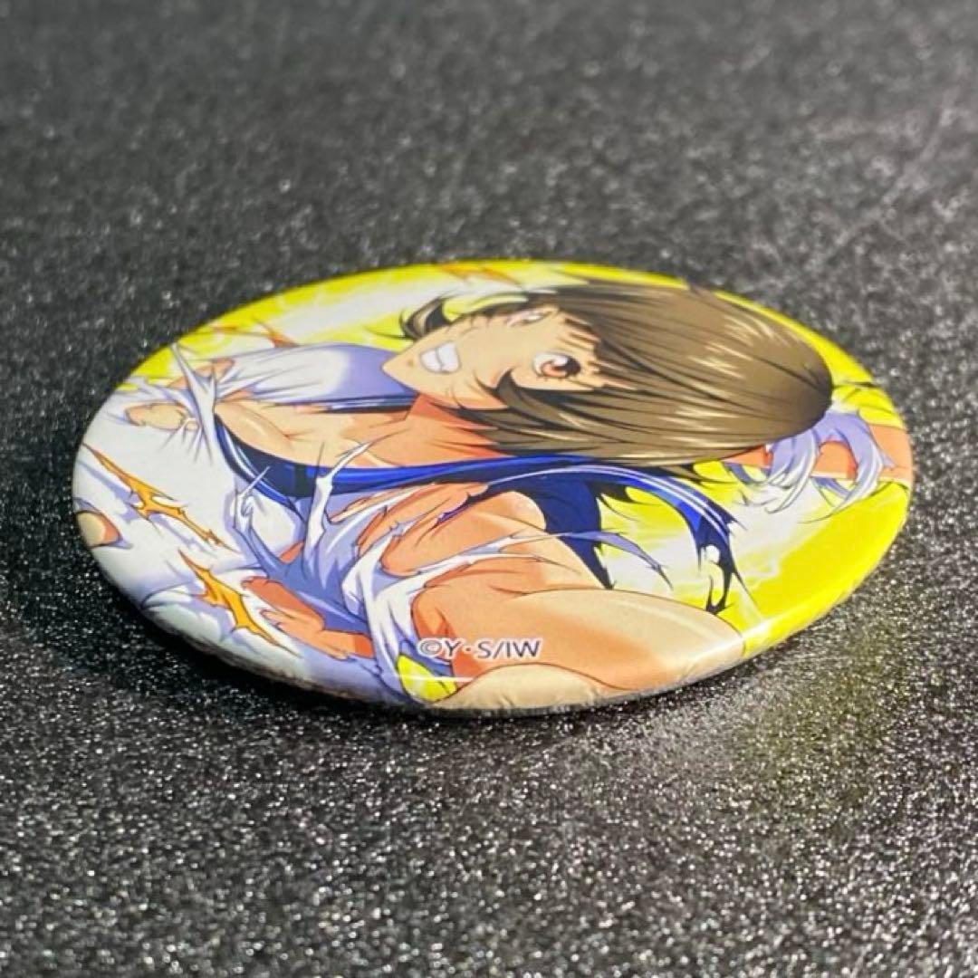 未使用 全種セット 記念品 P真・一騎当千 オリジナル缶バッジ パチンコ 6個