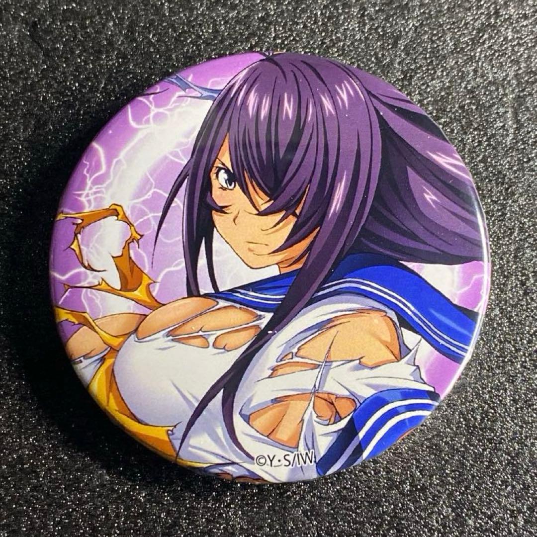 未使用 全種セット 記念品 P真・一騎当千 オリジナル缶バッジ パチンコ 6個