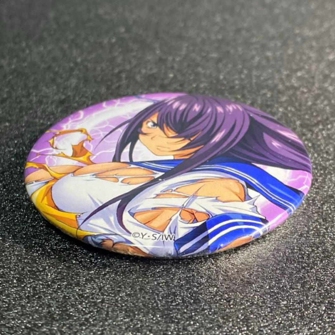 未使用 全種セット 記念品 P真・一騎当千 オリジナル缶バッジ パチンコ 6個