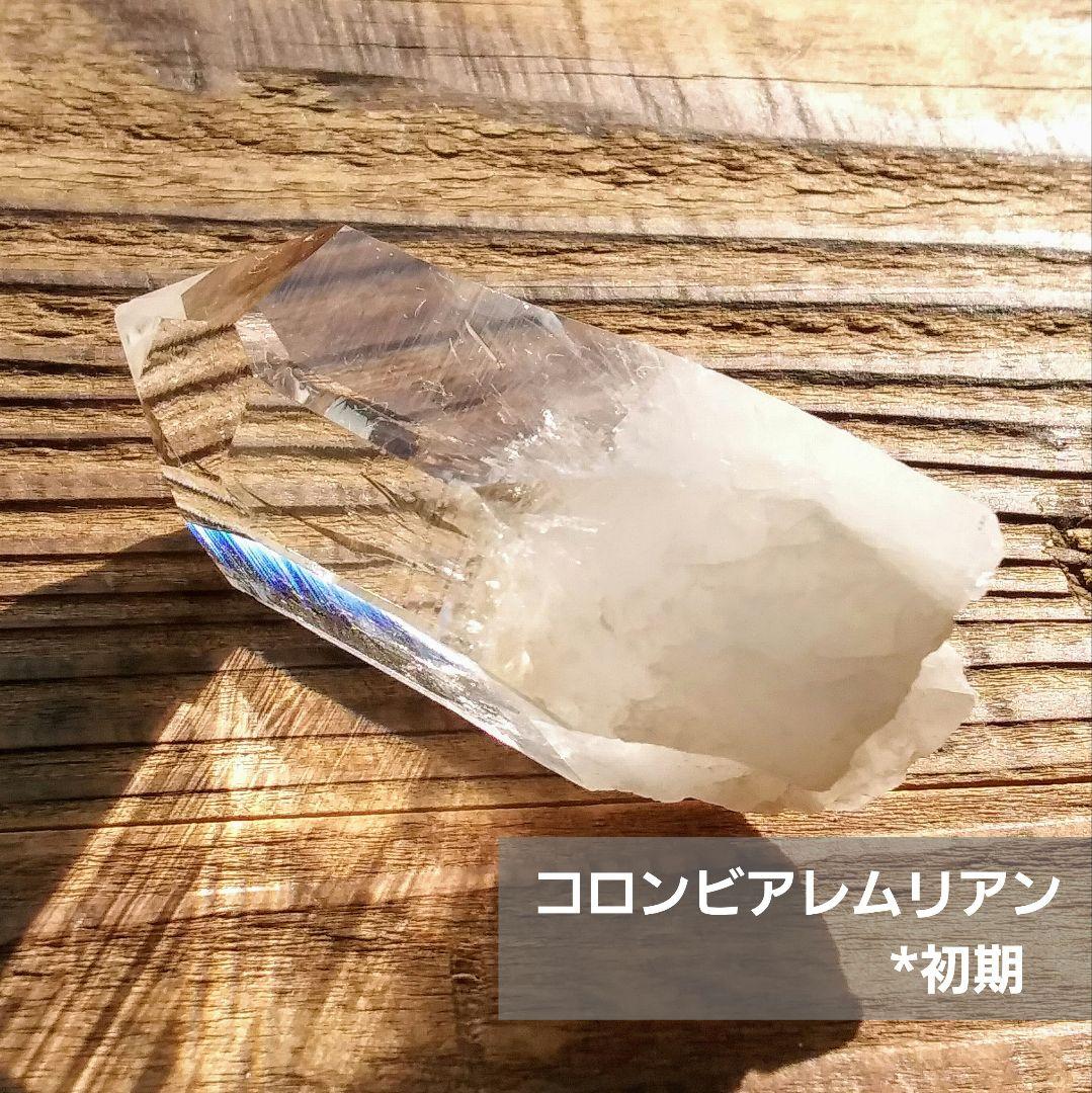 *虹入り* 希少 初期 コロンビアレムリアン イシス パストタイムリンク