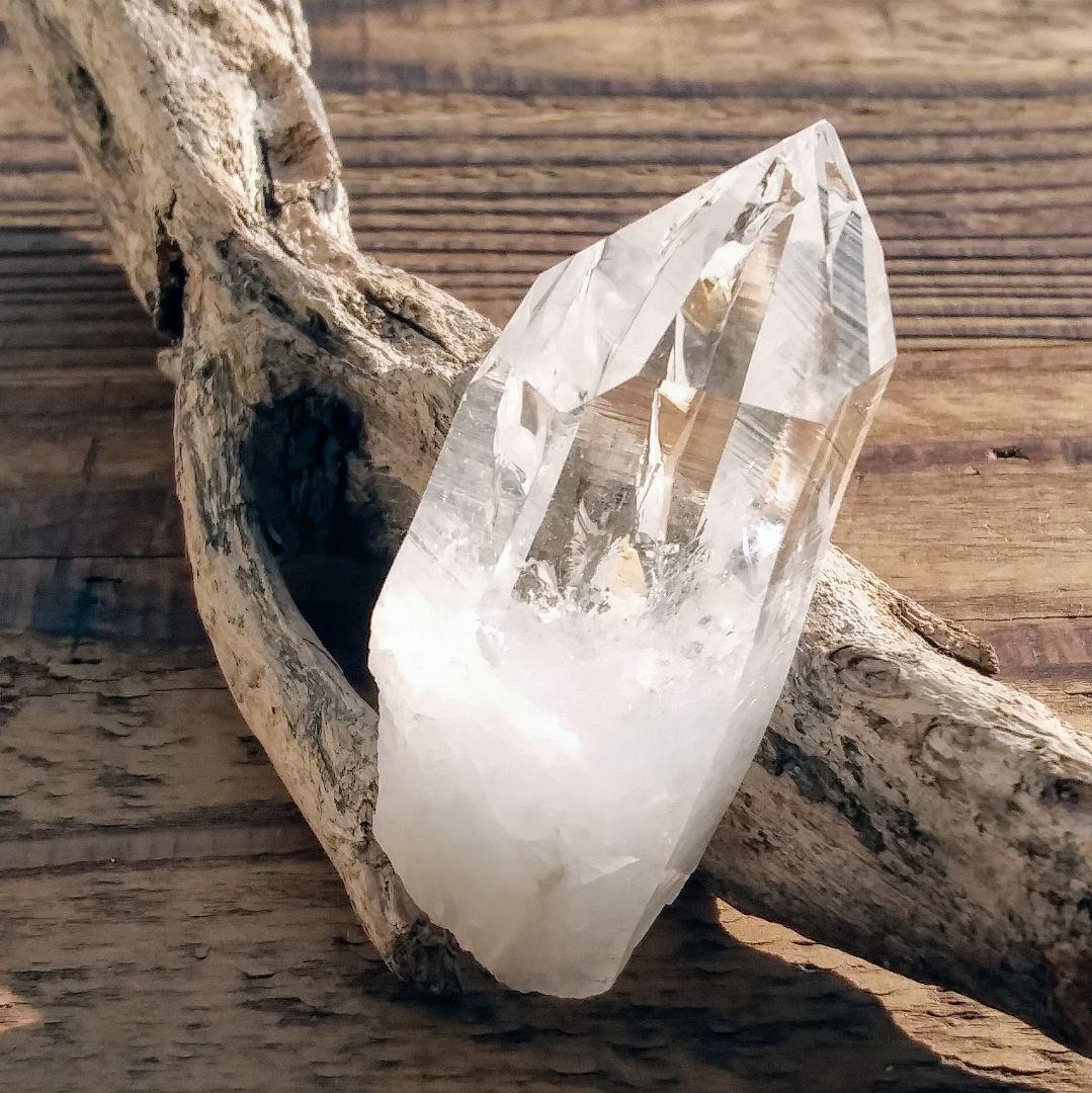 *虹入り* 希少 初期 コロンビアレムリアン イシス パストタイムリンク