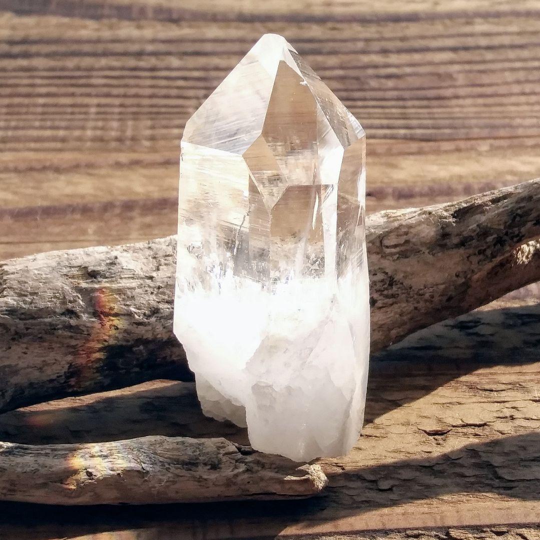 *虹入り* 希少 初期 コロンビアレムリアン イシス パストタイムリンク