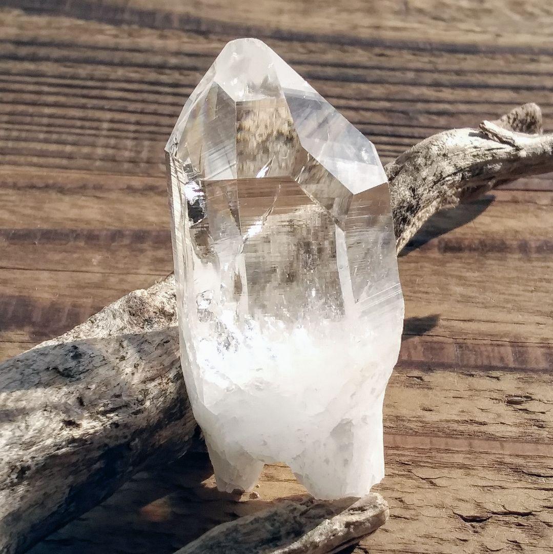 *虹入り* 希少 初期 コロンビアレムリアン イシス パストタイムリンク