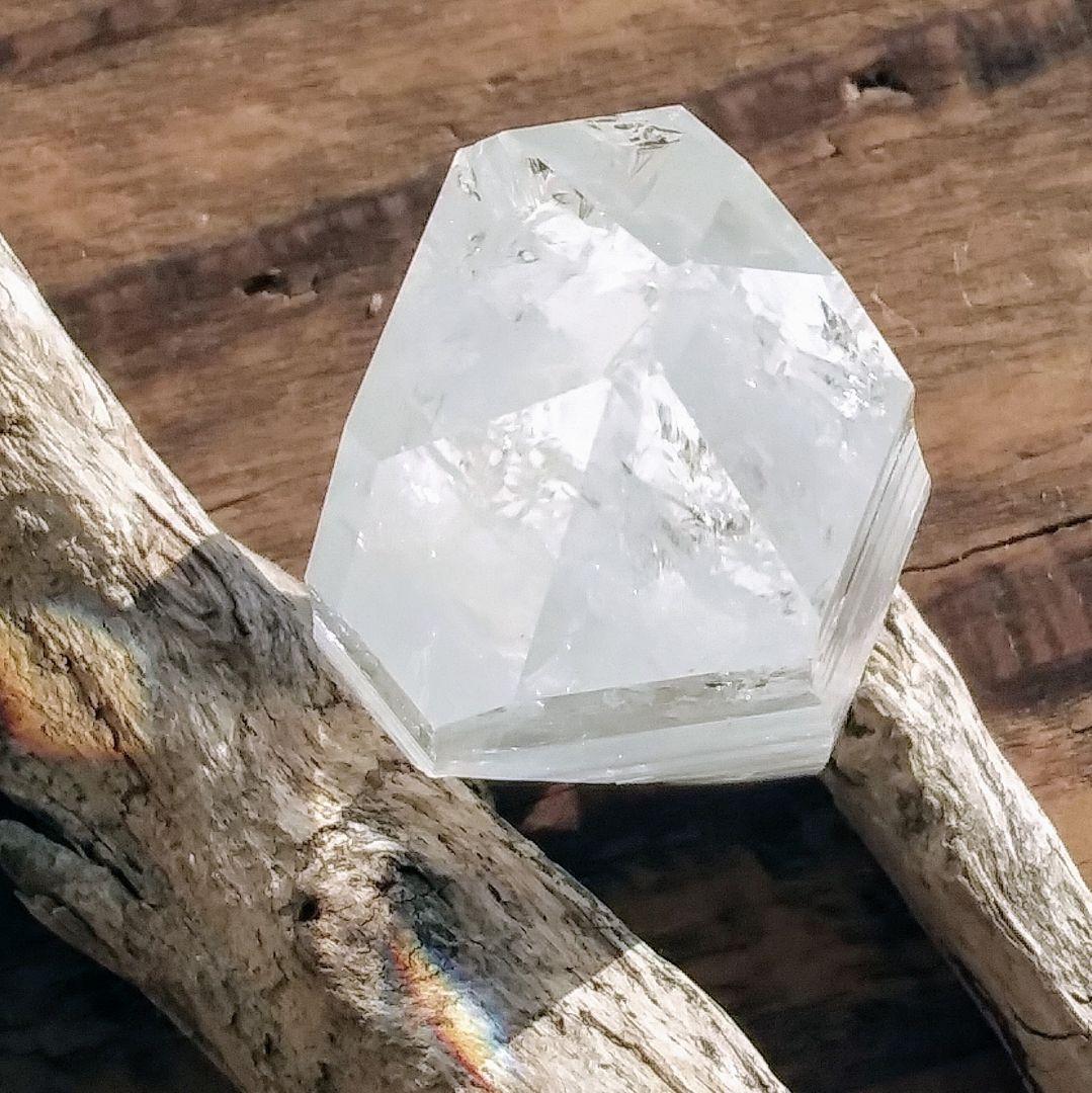 *虹入り* 希少 初期 コロンビアレムリアン イシス パストタイムリンク